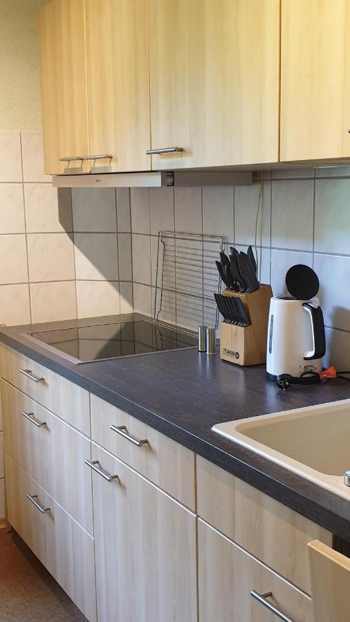 Ferienwohnung An Der Begerburg Dresden Bagian luar foto